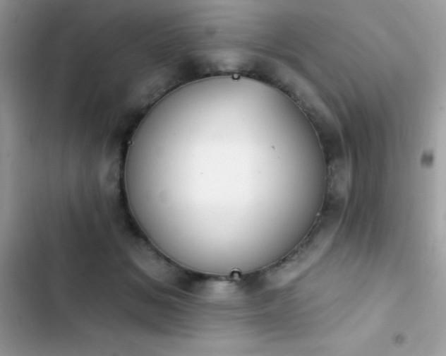 X0000103950509200809191444