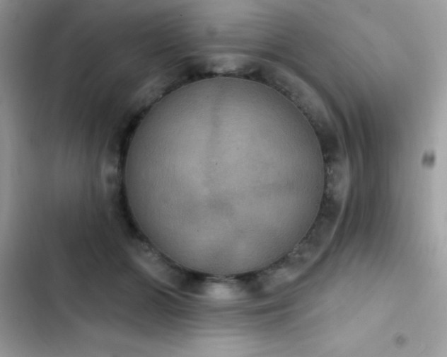 X0000103950510200809191444