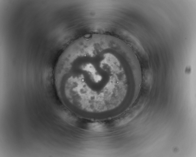 X0000103950511200809191444