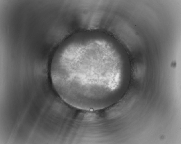 X0000103950512200809191444