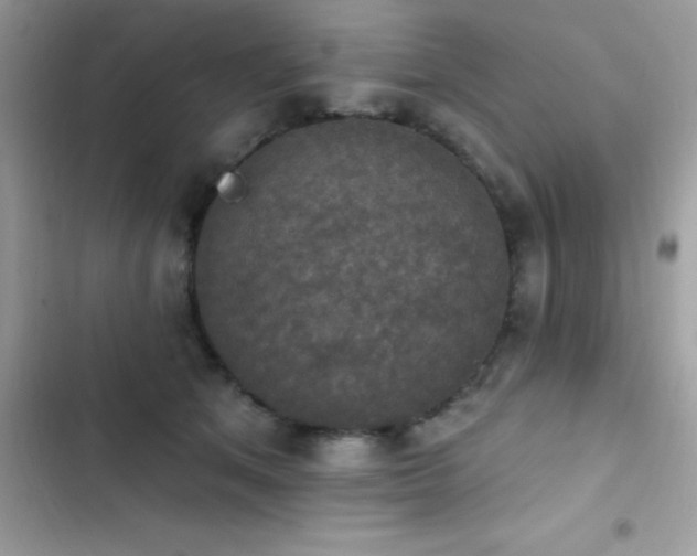X0000103950513200809191444