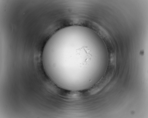 X0000103950514200809191444