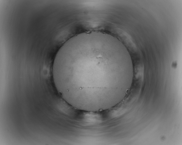 X0000103950515200809191444