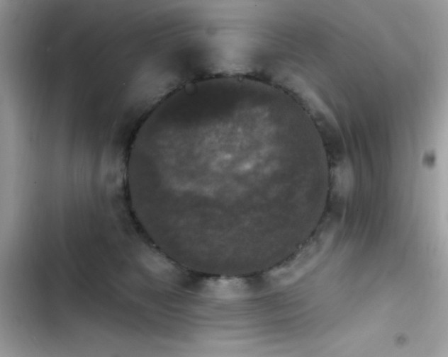 X0000103950517200809191444