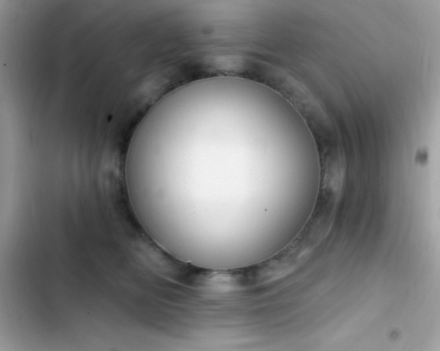 X0000103950518200809191444