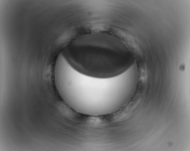 X0000103950519200809191444