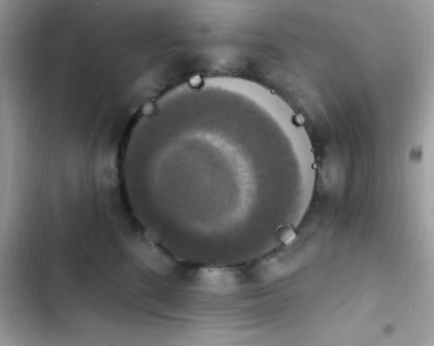 X0000103950520200809191444