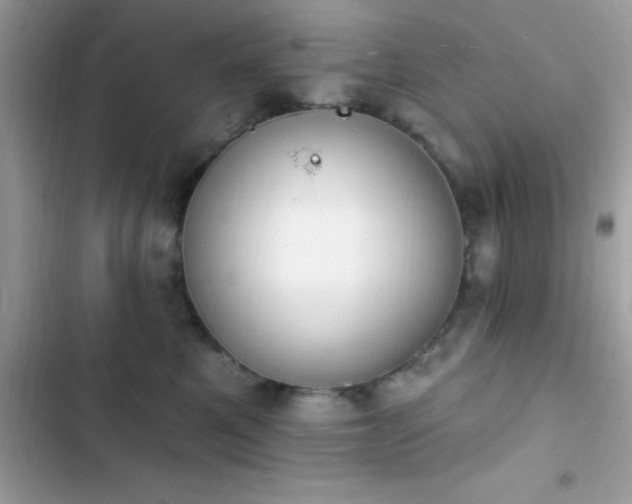 X0000103950521200809191444