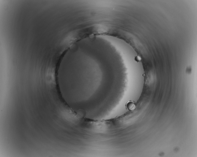 X0000103950524200809191444