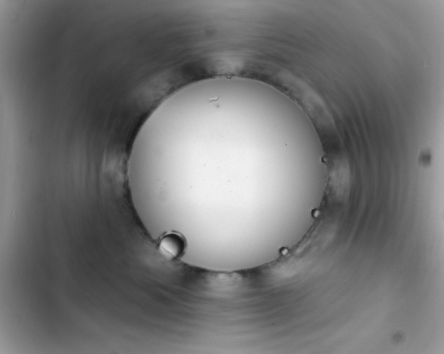 X0000103950525200809191444