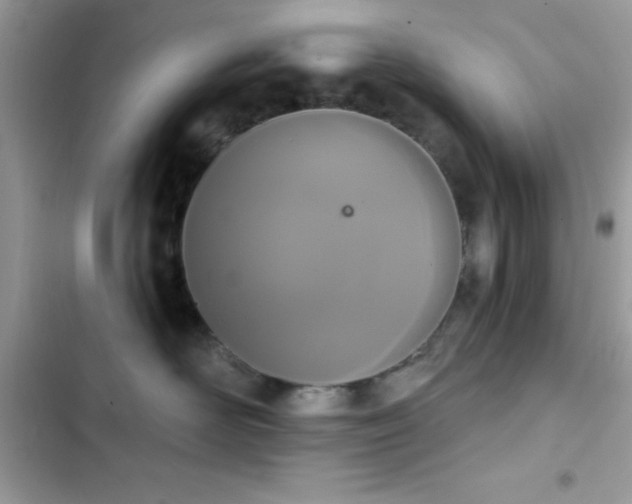 X0000103950526200809191444
