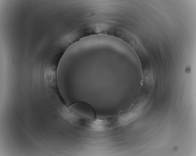 X0000103950527200809191444