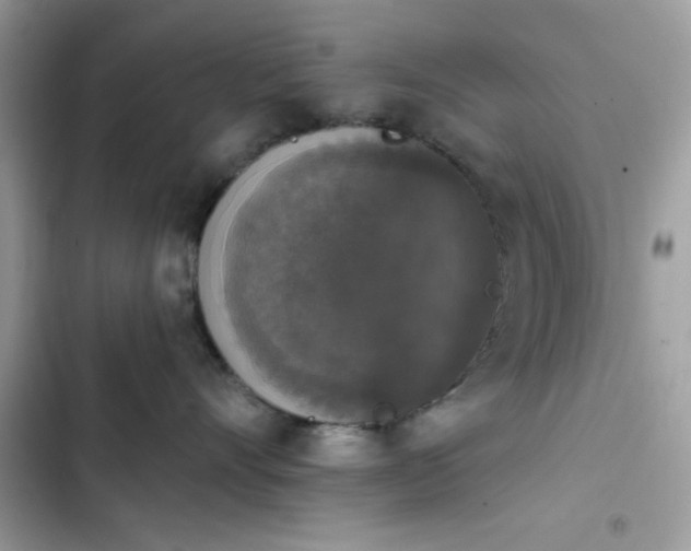 X0000103950528200809191444