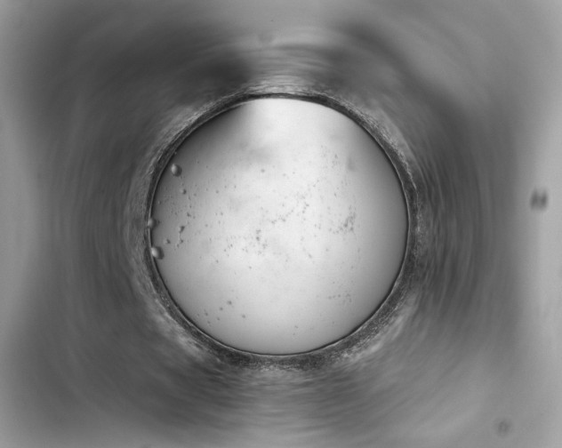 X0000103950529200809191443