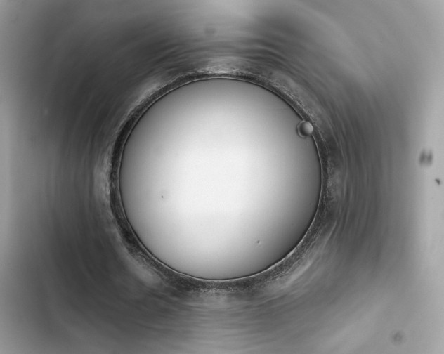 X0000103950530200809191443