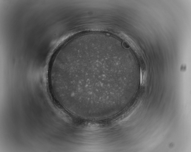 X0000103950531200809191443