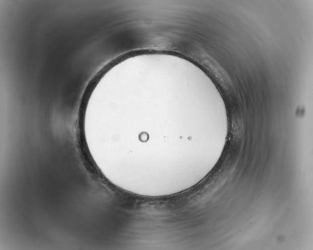 X0000103950532200809191443