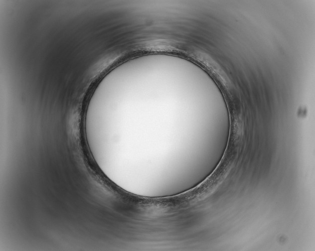 X0000103950533200809191443