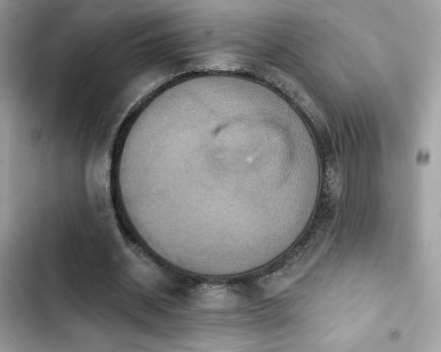 X0000103950534200809191443