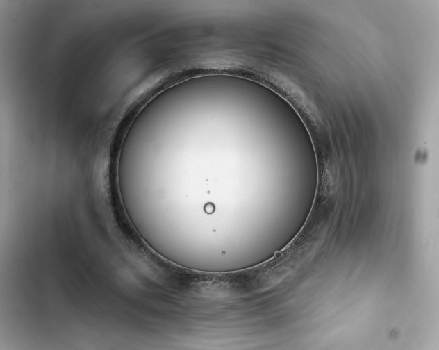 X0000103950535200809191443