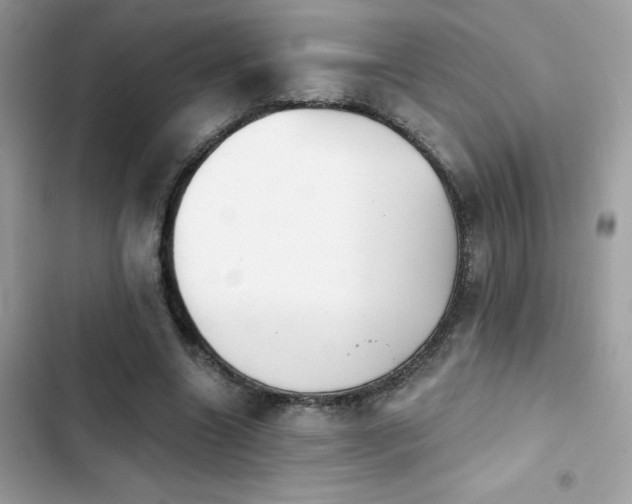 X0000103950538200809191443