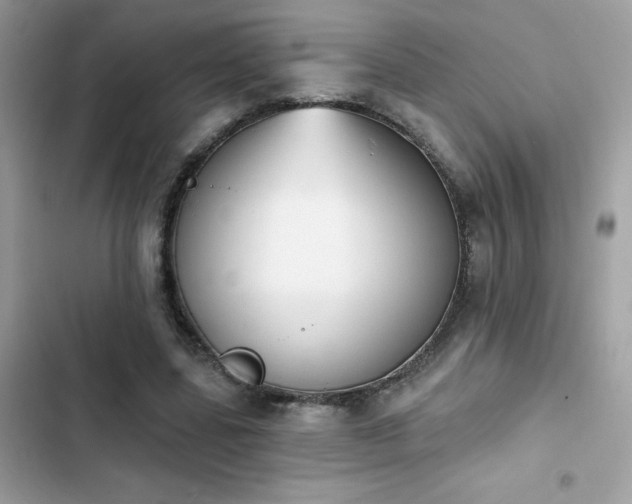 X0000103950539200809191443