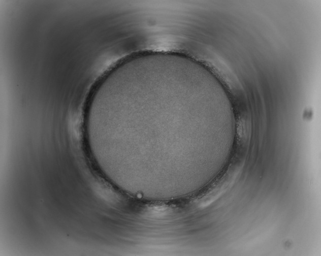 X0000103950540200809191443