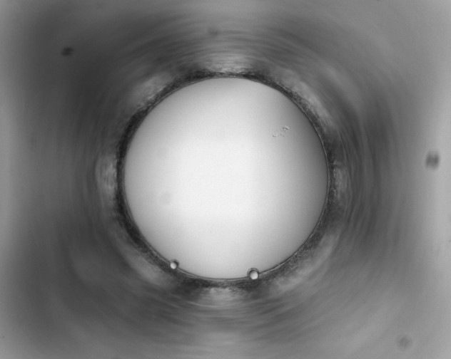 X0000103950541200809191443
