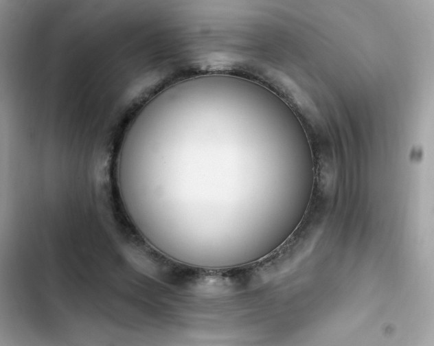 X0000103950543200809191443