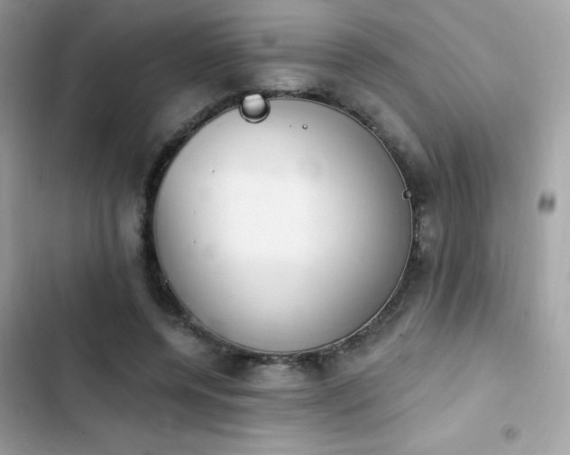 X0000103950544200809191443