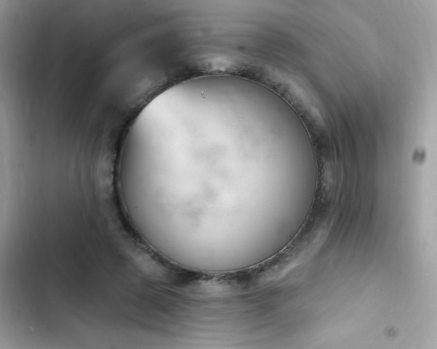 X0000103950545200809191443