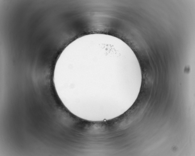 X0000103950546200809191443
