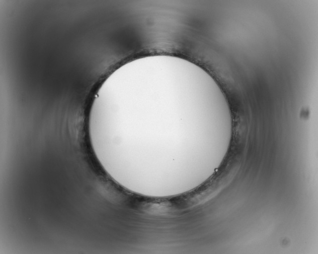 X0000103950548200809191443