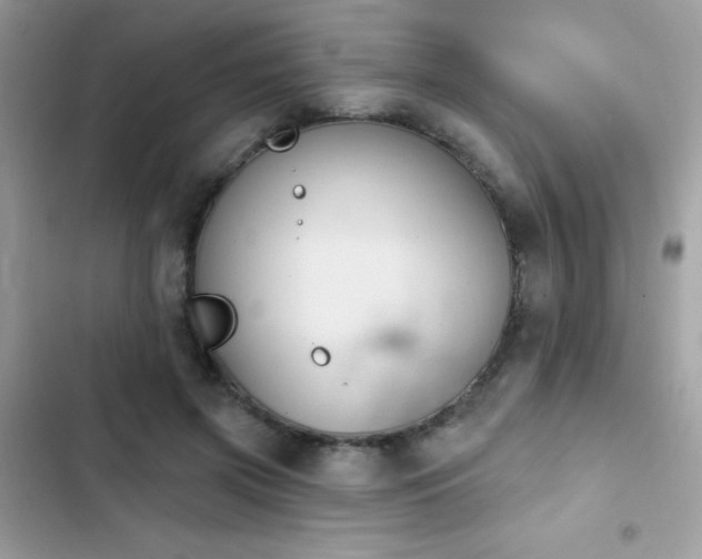 X0000103950549200809191443