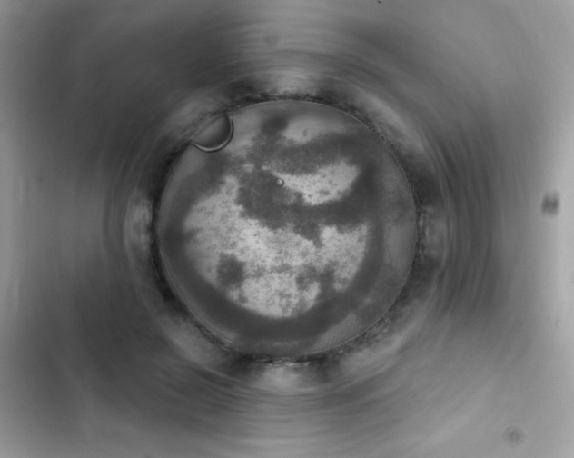 X0000103950550200809191443