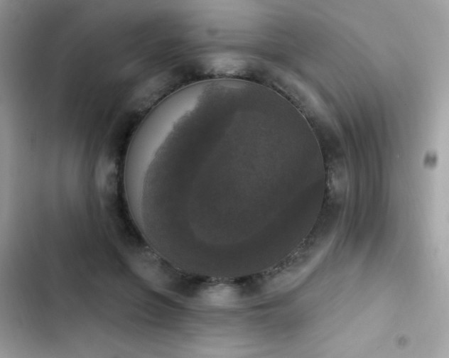 X0000103950551200809191443