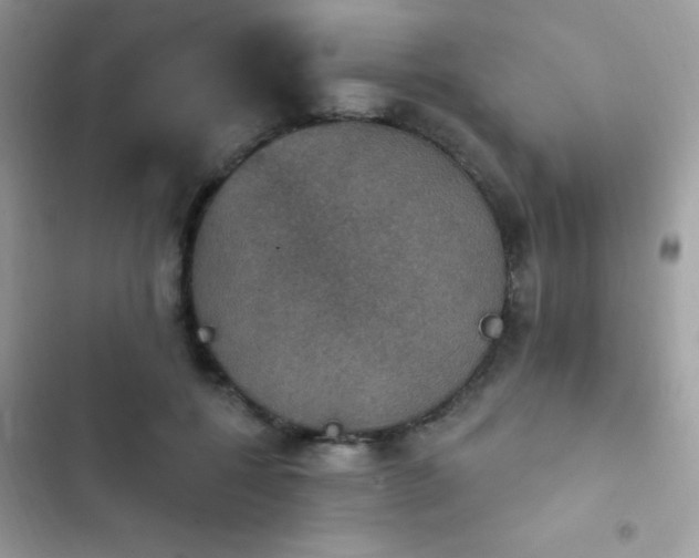 X0000103950552200809191443
