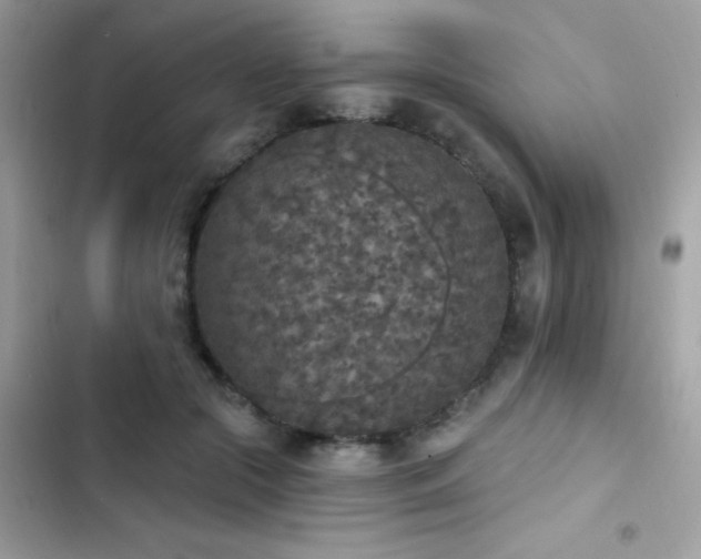X0000103950553200809191443