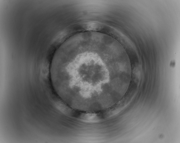 X0000103950554200809191443