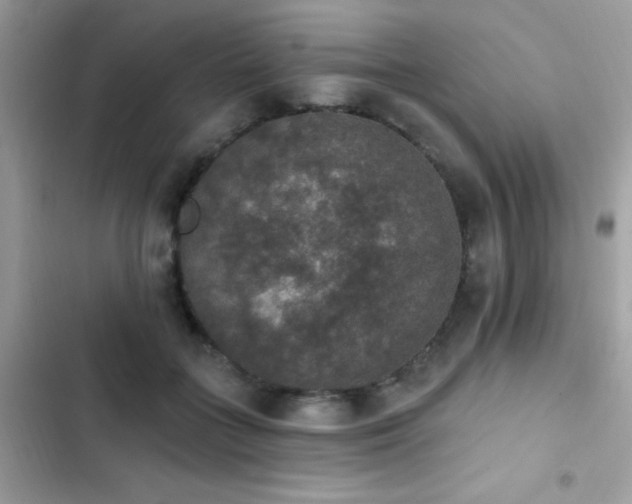 X0000103950555200809191443