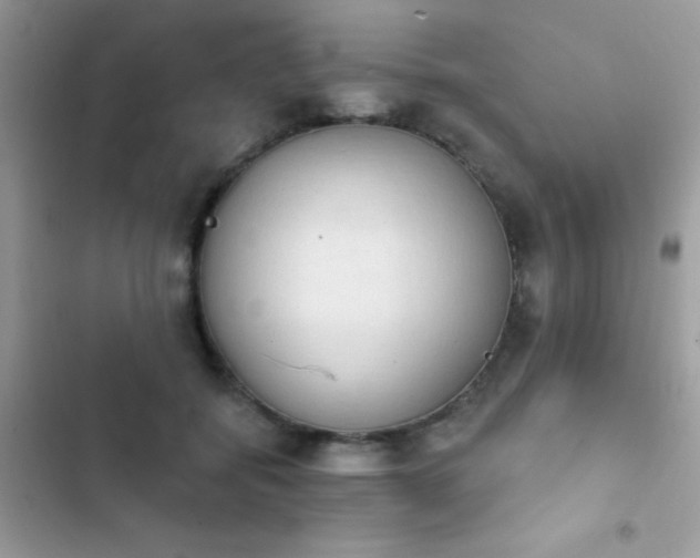 X0000103950556200809191443