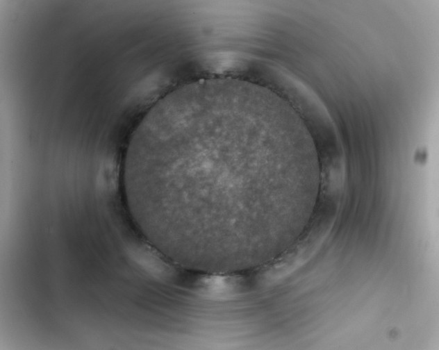 X0000103950558200809191443