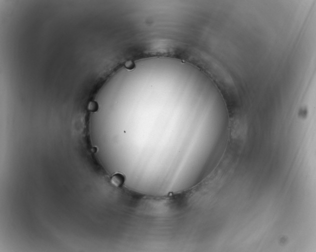 X0000103950560200809191443