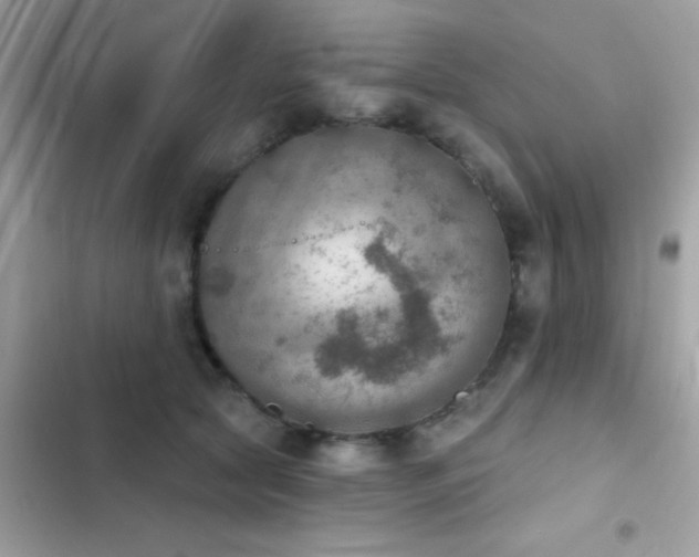 X0000103950561200809191443