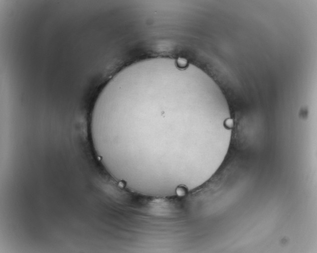 X0000103950562200809191443