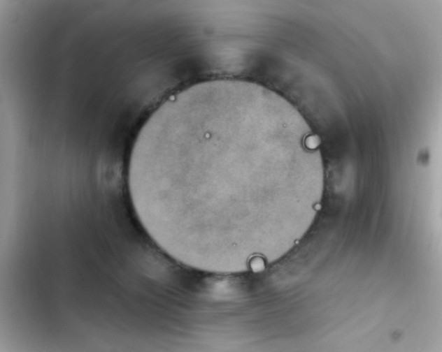X0000103950564200809191443