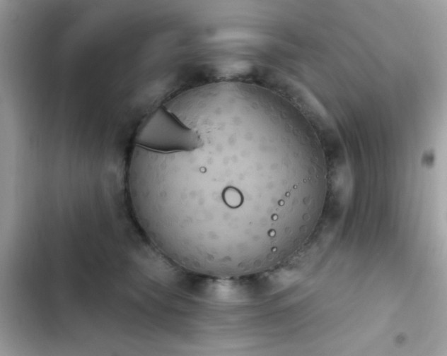 X0000103950565200809191443