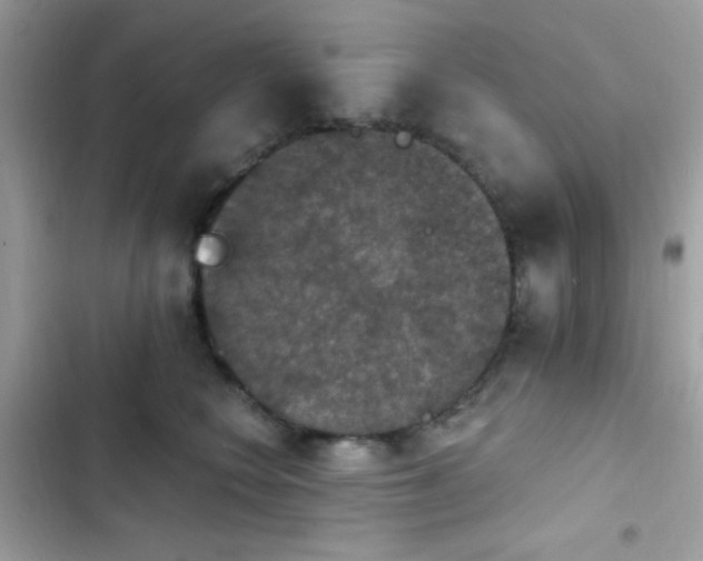 X0000103950566200809191443