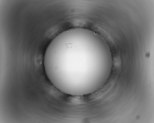 X0000103950567200809191443