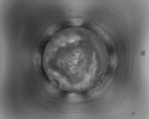 X0000103950568200809191443